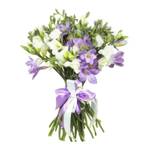 Леди Грация